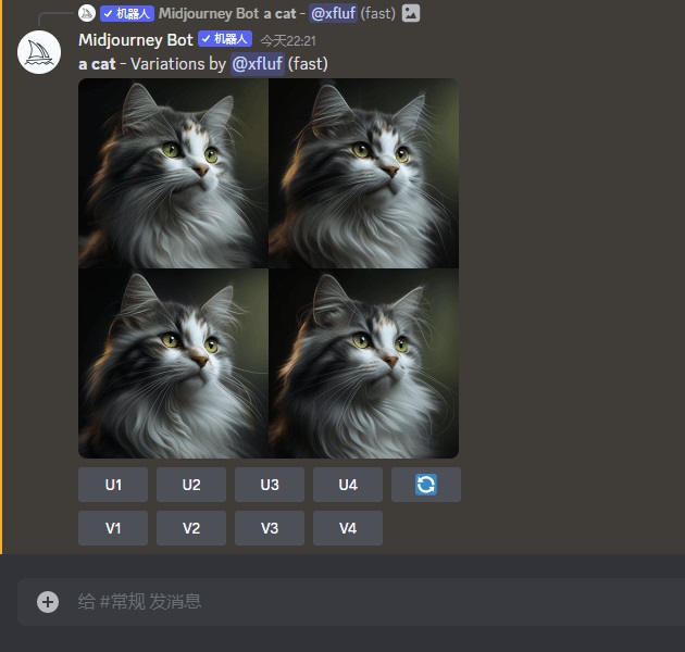 1fd3b43502f3e67404090d621b0e07fd AI painting tool Midjourney basic user manual