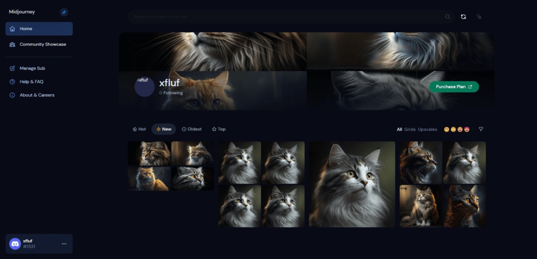 78d06a9ce626ec387ab11f223f1bd407 AI painting tool Midjourney basic user manual