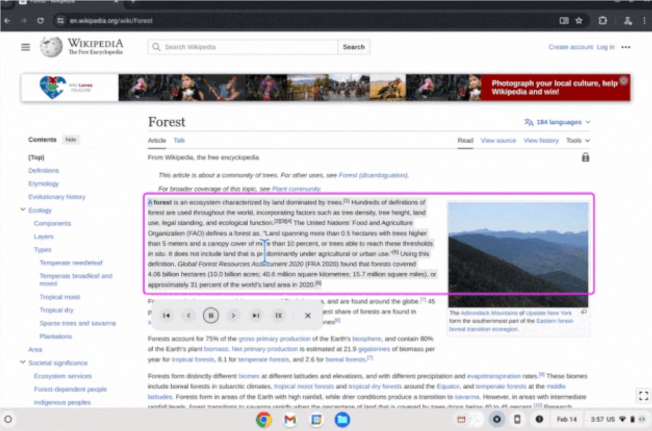 Google's Gemini AI program offers extra data protection and privacy for schools