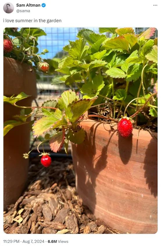 OpenAI is reportedly developing the "Strawberry" project: formerly the mysterious Q* algorithm, which will be launched as early as this fall