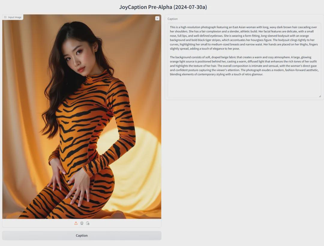 7e3453acj00sjbl0t002bd000u000mrm 还有人不知道可以图片反推提示词吗,不花钱免费白嫖图像反推模型Joy Caption