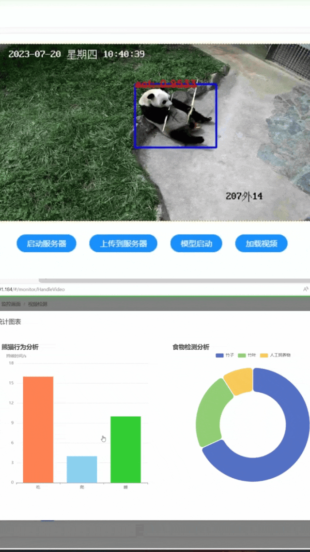 Tencent develops world's first giant panda model: real-time identification, statistics, analysis of giant panda behavior and generation of reports