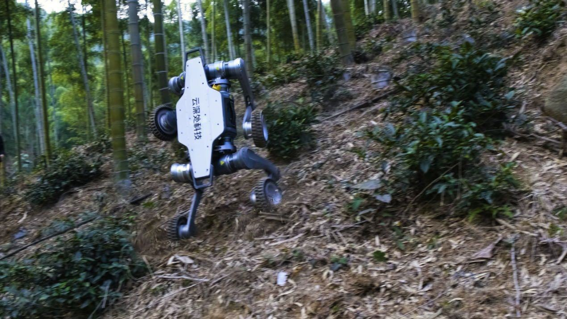 Deep in the clouds "Bobcat" all-terrain off-road robot launched: can climb 22cm steps, 45° slopes, 98,000 yuan