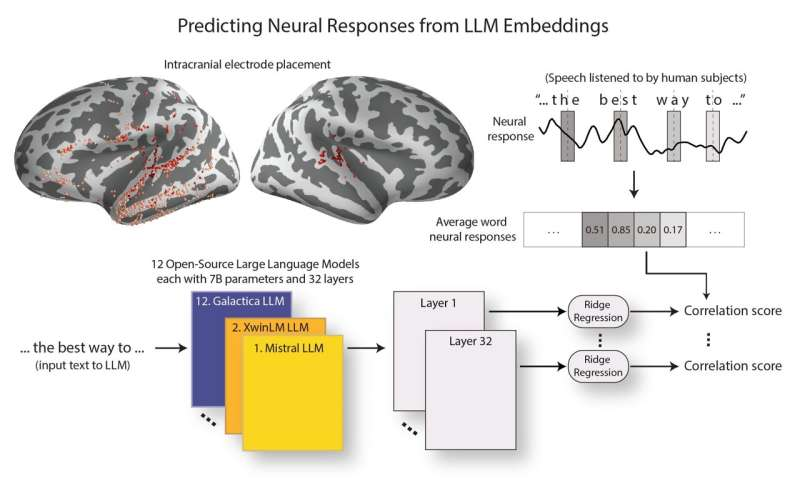 34e7eeb2j00sosn1x006td000m800dcp Columbia University Study: Big Language Models Are Becoming More Like the Human Brain