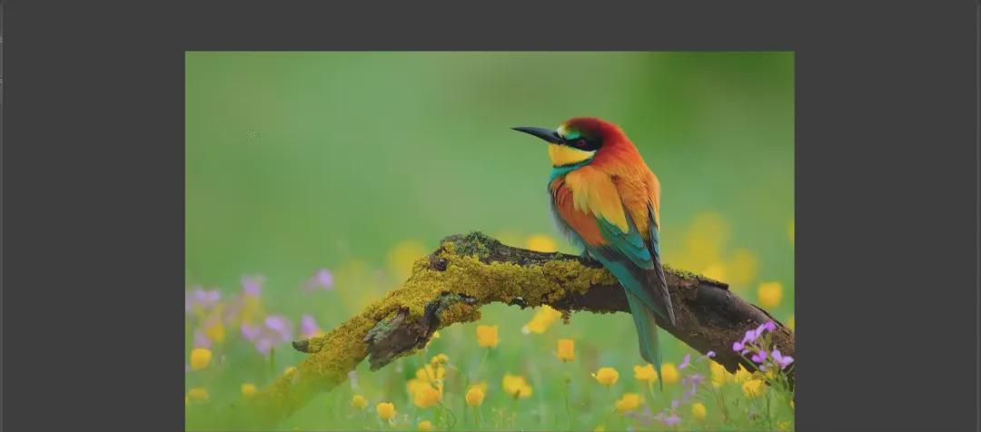 355db911j00sob4wa000vd000u000d8p AI Painting, Hands-on Image Redrawing Feature at ComfyUI