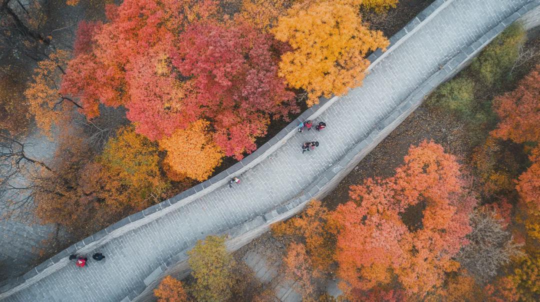 AI视频工具到底哪个好用？哪个划算？6款国内外AI生成视频工具对比测试