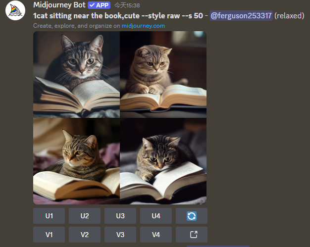 How to use Midjourney, Midjourney pre-command /settings explanation