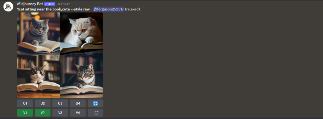 How to use Midjourney, Midjourney pre-command /settings explanation