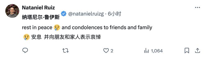 76a3a4ffj00spi2cu000ed000ic0056m Felix Hill, Genius Scientist at Google DeepMind, Dies at 41