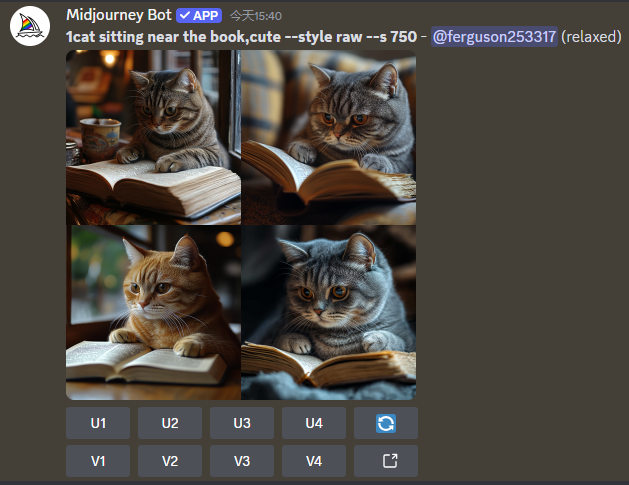 How to use Midjourney, Midjourney pre-command /settings explanation