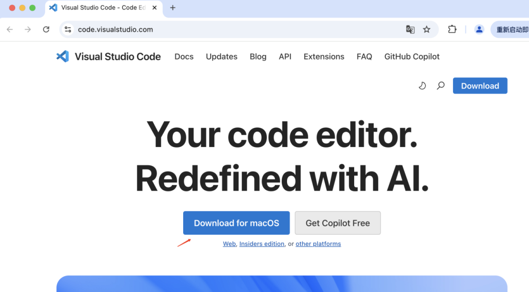 Build an AI programming assistant with DeepSeek for free, and develop it for noobies who can't write code