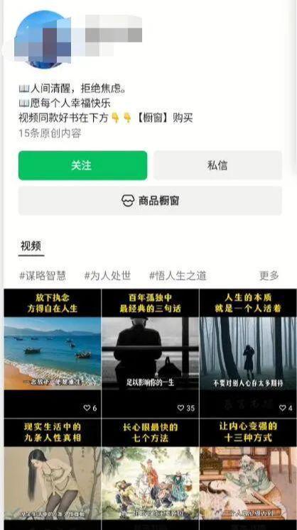 ai变现项目，用DeepSeek做拆书文案搞定爆款短视频
