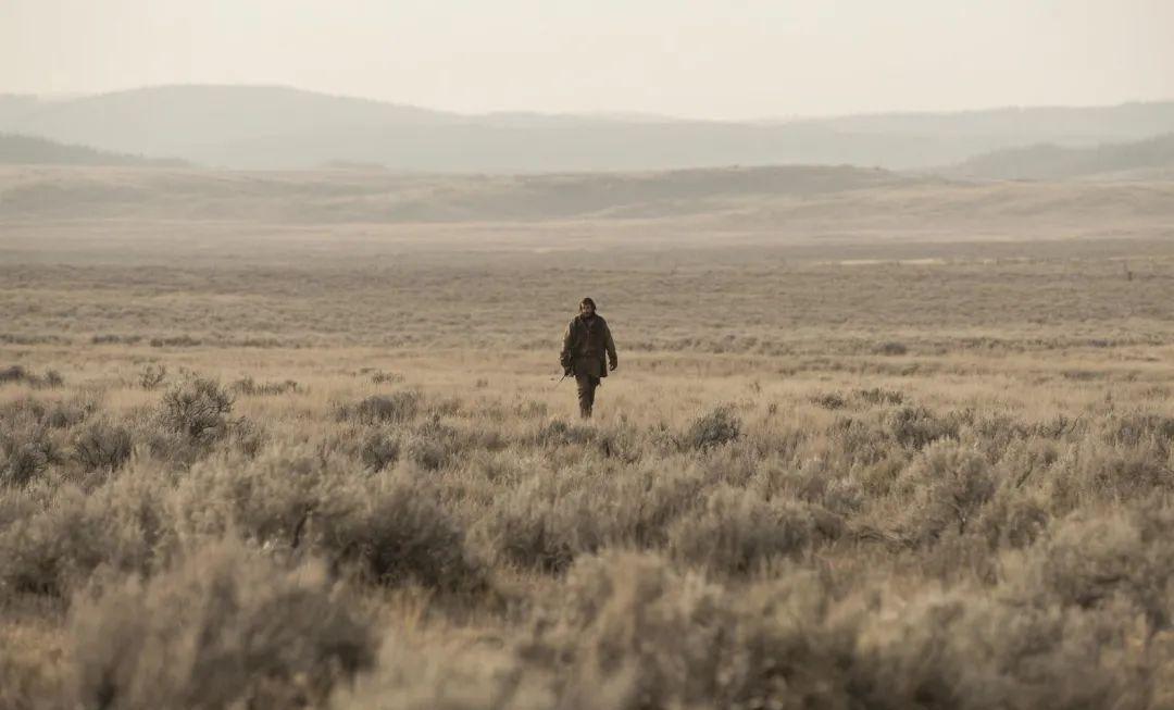 a3d86d9bj00swylnt001td000u000i5p AI Video Generation Cue Words Share, 58 Universal Lens Language Cue Words