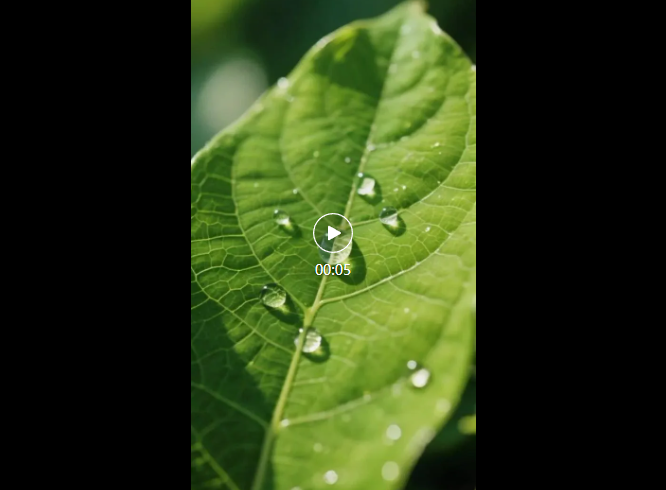 AI video production beginner's guide, AI video in the first and last frame tips to share