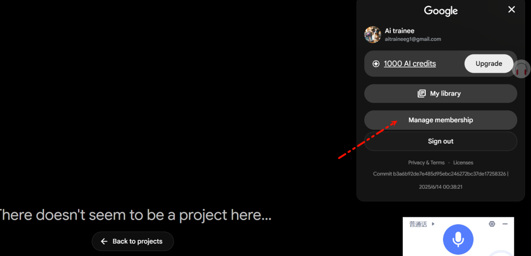 VEO 3 video generation instruction and account the latest way to get (including white john strategy), Google VEO 3 guide to use