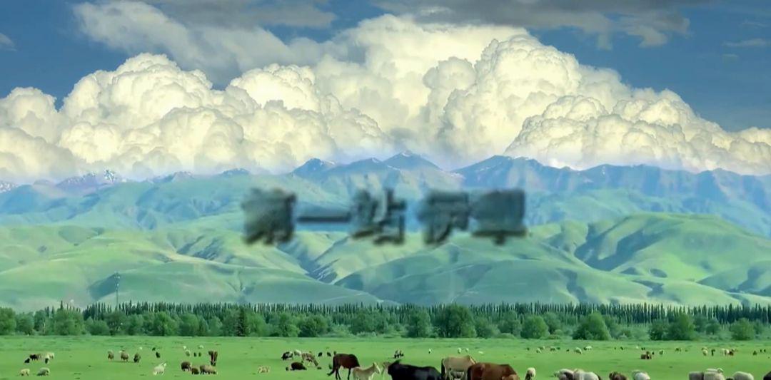 df100b96j00syjx0u001td000u000etp AI one-click video watermark and subtitle removal tool, totally free! It works well in real test!