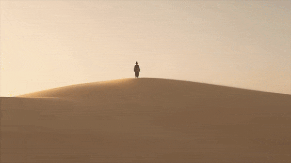 2025年，国内外最火的8款AI视频生成工具