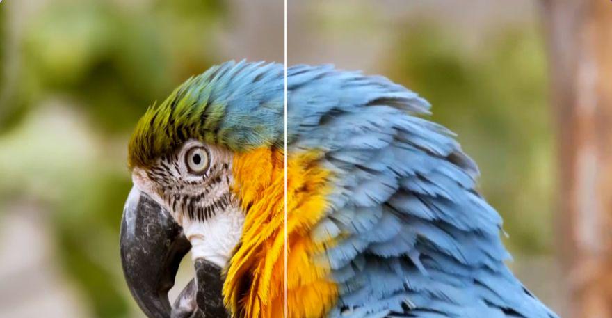 这4款免费AI视频修复工具亲测好用，模糊视频画质秒变4K