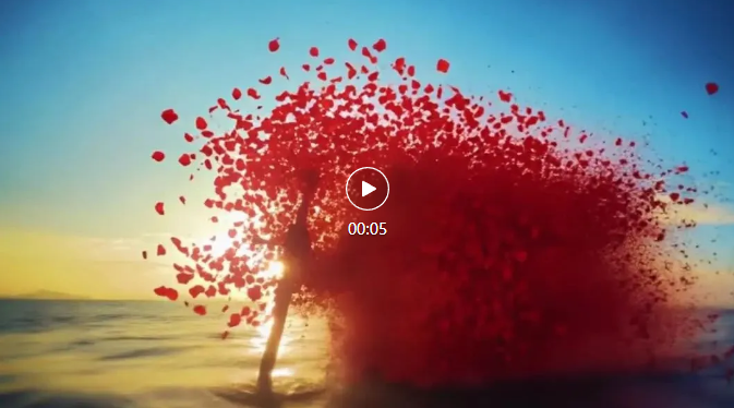 Demolition of AI video play, AI production petals disappearing receding effect tutorial is here!