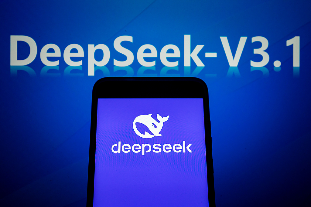 DeepSeek-V3.1 Released, Officials Explain First Steps Toward AI Agent Era
