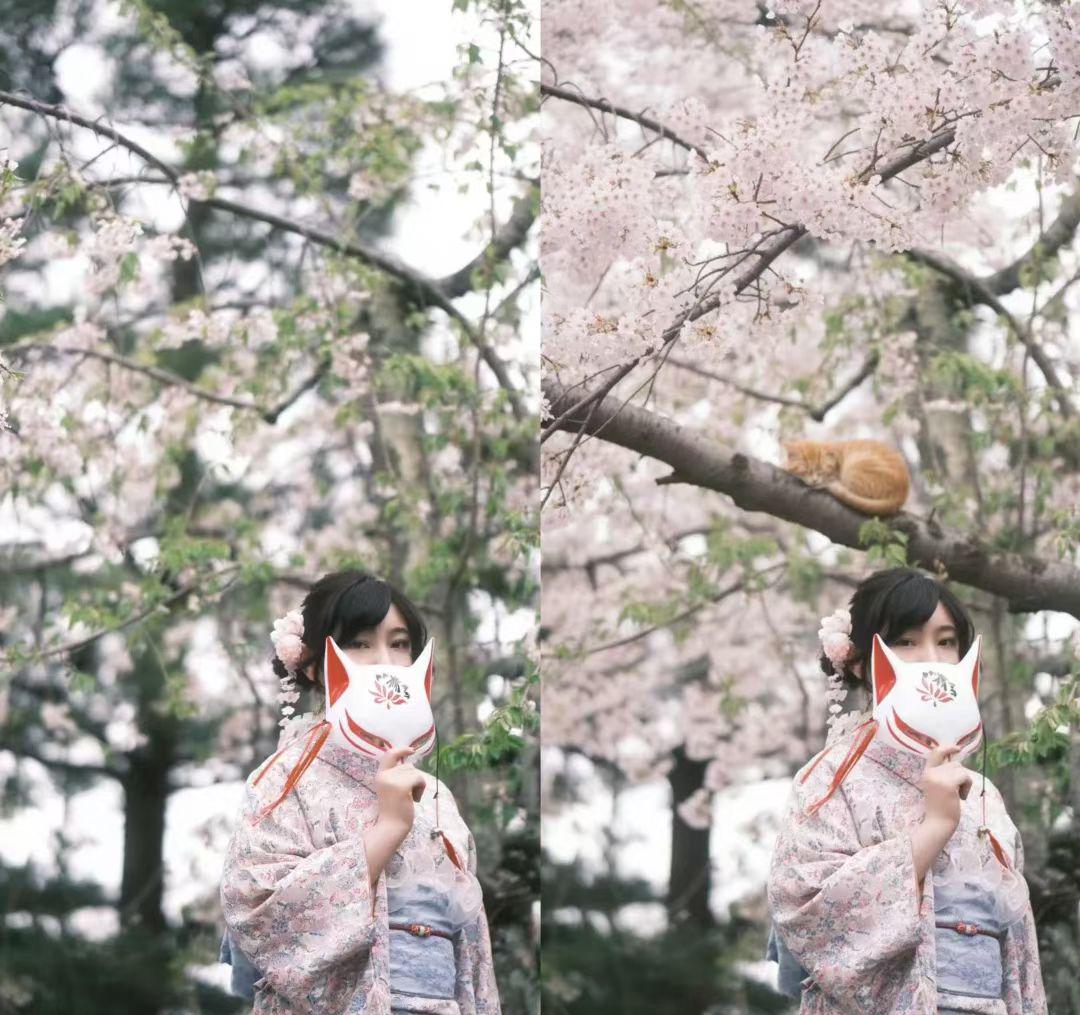 AI神器免费白嫖！AI修图、做手办、换穿搭一句话搞定