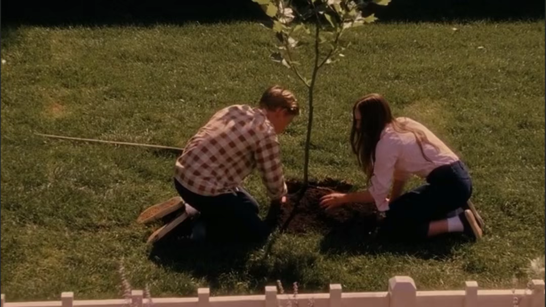 54411624j00t25mrd00q2d000u000gwp 如何用AI制作电影?15个专业级运镜,让你的AI视频秒变电影大片