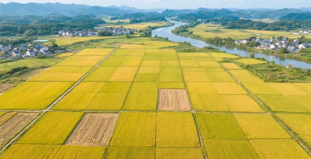 6b34b78aj00t25mix002wd000u000fcm 如何用AI制作电影?15个专业级运镜,让你的AI视频秒变电影大片