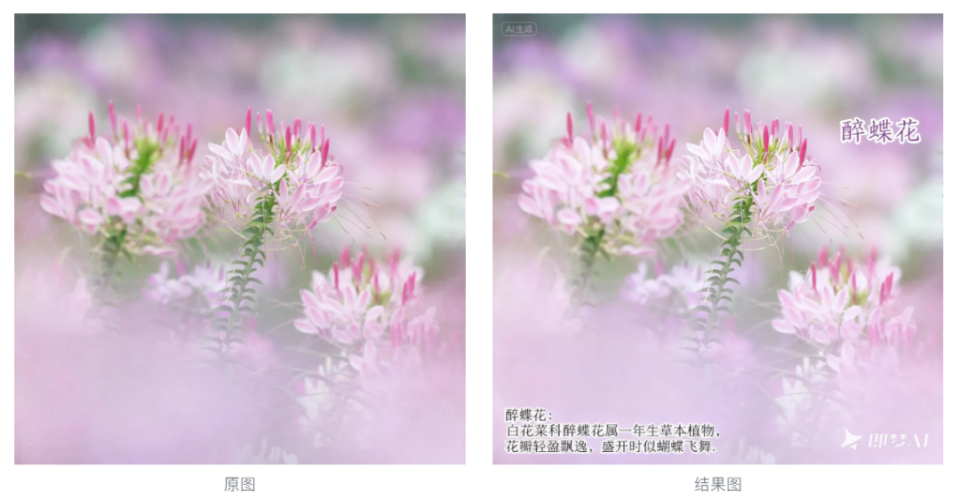 即梦4.0超详细深度测评，可直接用的提示词