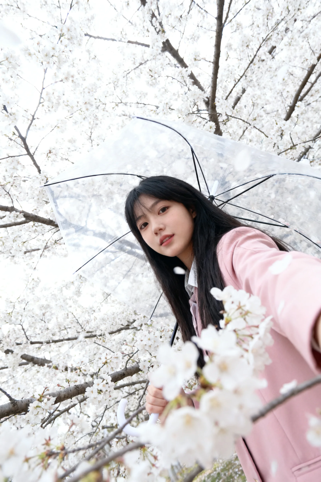 IT'S A DREAM-A-VISIM FUNCTION, AND IT'S A GAME OF AI CHARACTER CONSISTENCY, HUMAN INTEGRITY, POSTER GENERATION, ETC