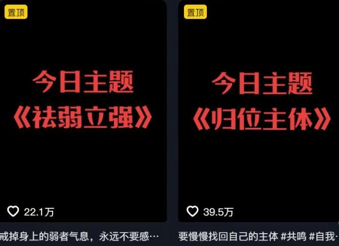 DO A DAILY SHORT VIDEO COURSE WITH AN AI AND A SHORT VIDEO FLASH SCREEN