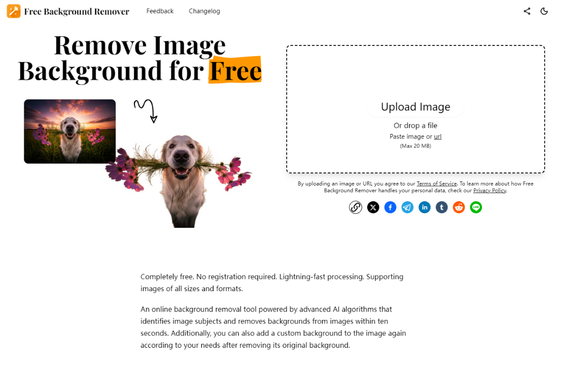 Free Background Remover: An online ai image background removal tool with precision recognition and removal of the background from the picture in 10 seconds