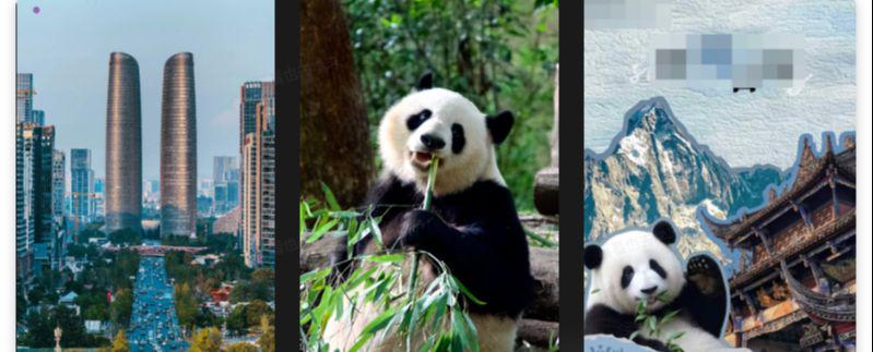 AI绘画教程，轻松上手实用AI电商产品海报设计