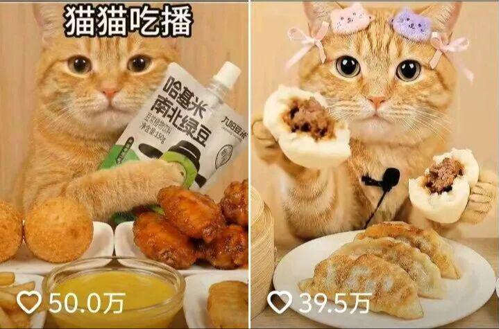 HOW DO YOU MAKE THE LATEST HOT ORANGE CAT AI VIDEO? I'LL TEACH YOU TO USE AI AS A PET VIDEO