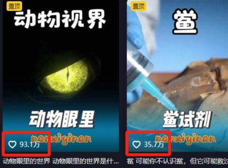 cb1b7d88j00t82zz6000rd000d2009np I'M MAKING A VEGETATIVE AND VEGETATIVE RAP VIDEO, HAND-TO-HAND SHARING WITH THE I'M CREATING A RAP AND RAP PROGRAM