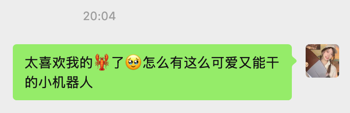 Clawdbot (OpenClaw) babysitting course, hand hands on Agent