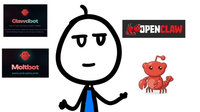 小白新手必看的OpenClaw教程，超高性价比OpenClaw攻略！