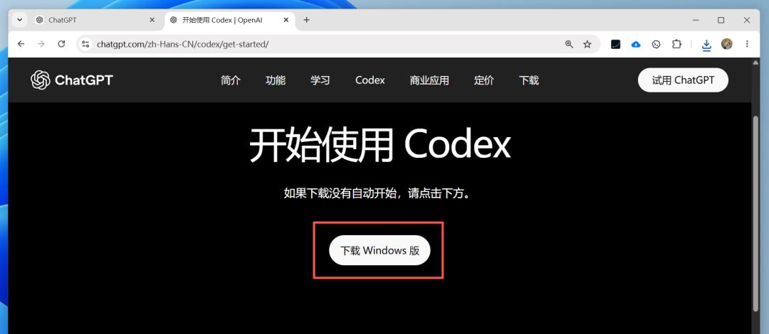 Codex使用安装教程，一篇讲清楚Codex这款工具到底是啥