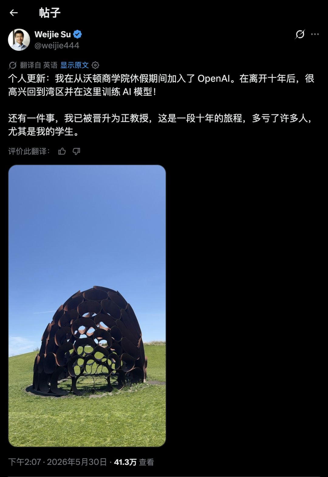 北大数院「黄金二代」苏炜杰加入 OpenAI