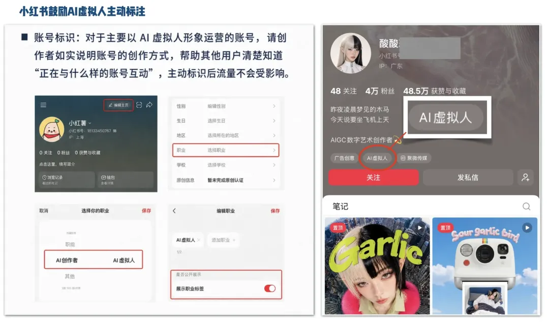 IA GOVERNANCE: THE IA VIRTUAL ACCOUNT MUST BE IDENTIFIED ON THE INFORMATION PAGE