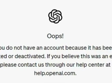 大模型刚收费，年轻人就找搭子