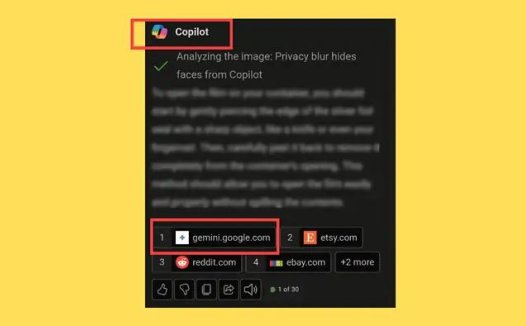 网友反馈微软 Copilot 引用谷歌 Gemini 内容，点击链接无法跳转指定内容页面