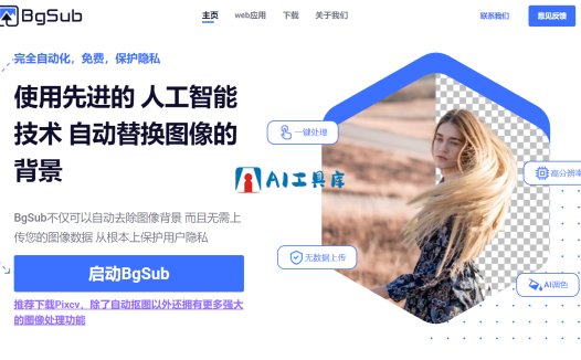 BgSub:免费好用的AI抠图工具