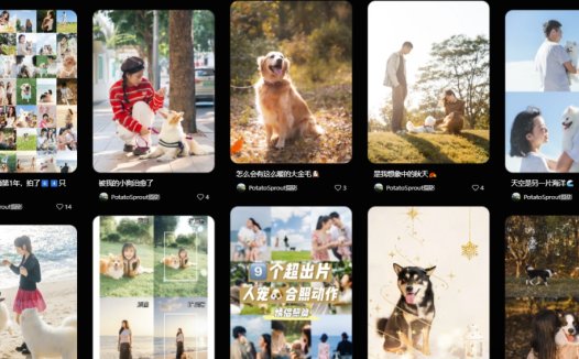 AI赚钱新玩法，用AI工具拍宠物写真，免费产出小红书爆款图文