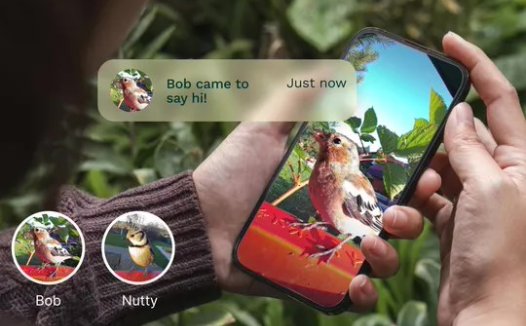 能给后院鸟儿起名,智能喂食器用 AI 技术识别鸟类个体