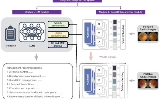 国际首个，我国团队开发糖尿病诊疗多模态大模型 DeepDR-LLM