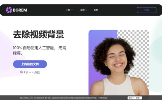 BgRem：视频背景去除工具，创建和编辑图像和视频的AI平台