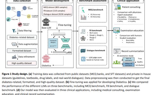 我国团队打造糖尿病专用 AI模型,助力个性化糖尿病护理