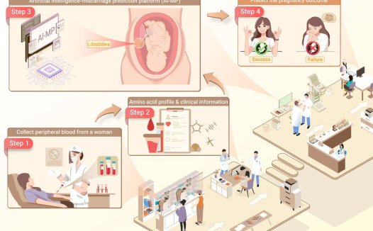 上海交大联合开发 AI 系统，首次实现孕前精准预测流产风险