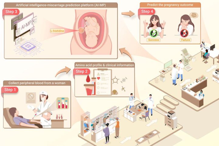 上海交大联合开发 AI 系统，首次实现孕前精准预测流产风险 – AI-人工智能-1ai.net
