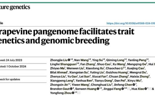 我国科学家利用人工智能加速葡萄育种,效率提高 400%